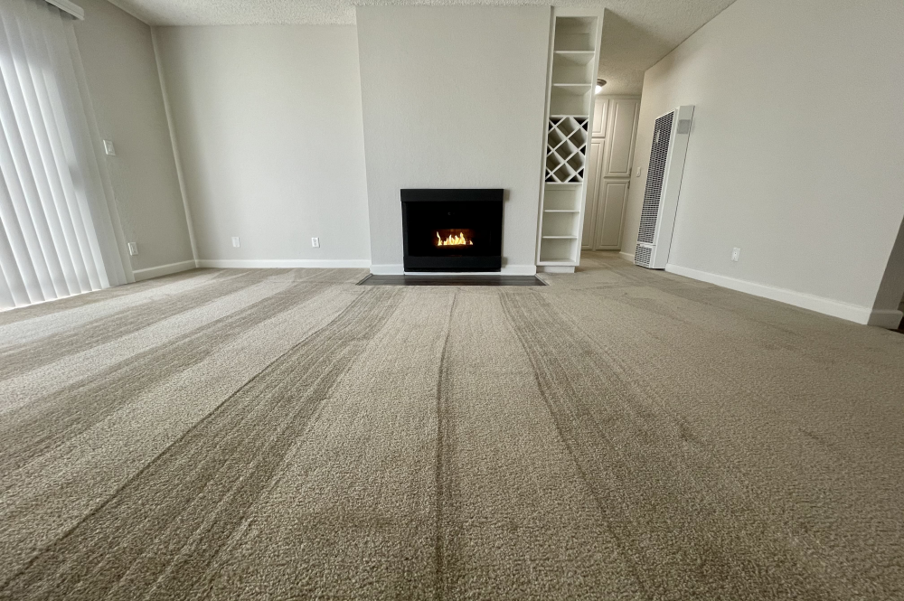 This image is the visual representation of Interior 5 in Casa Tiempo Apartments.